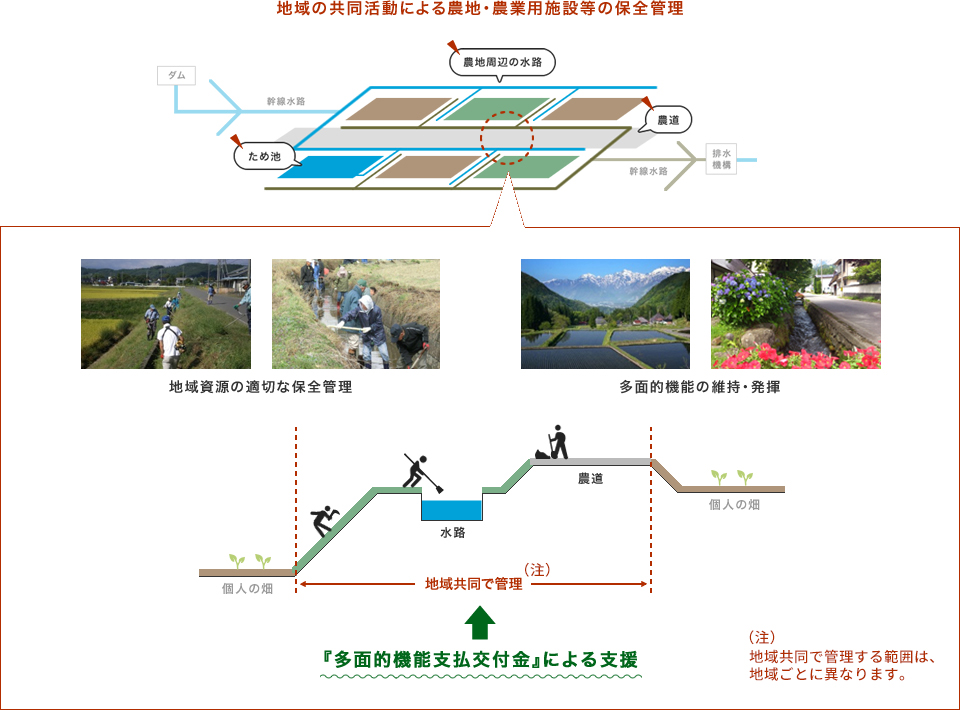 機能 支払 金 多面 的 交付