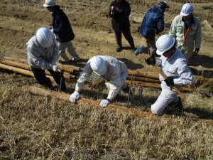 丸太を法面に固定する