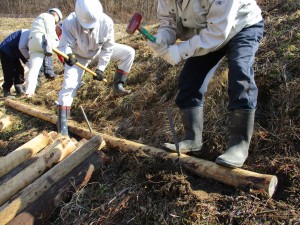 ハンマーで鉄筋を丸太に固定